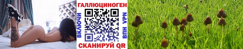 где купить наркоту  Оханск  Псилоцибиновые грибы MAGIC MUSHROOMS 